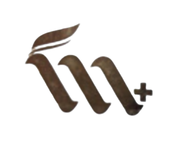 Partner Logo 13