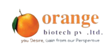 Partner Logo 11